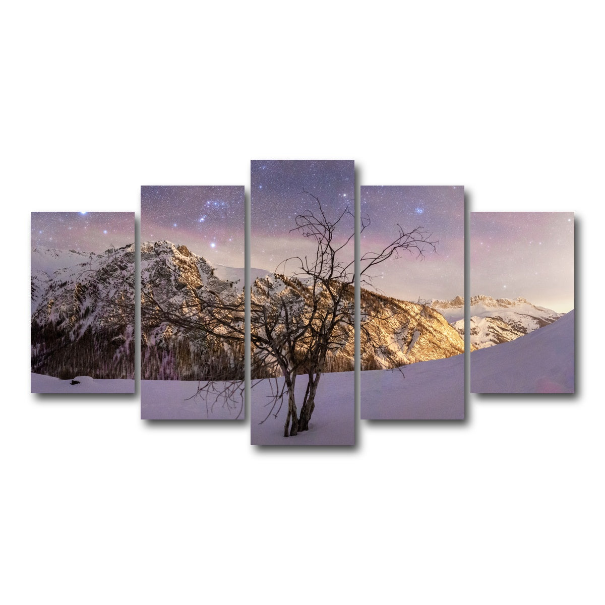 AUTO-MOCKUP WHITE | Tree of Hope | 5 Piece | Gallery Wrap Canvas | group=5_normal