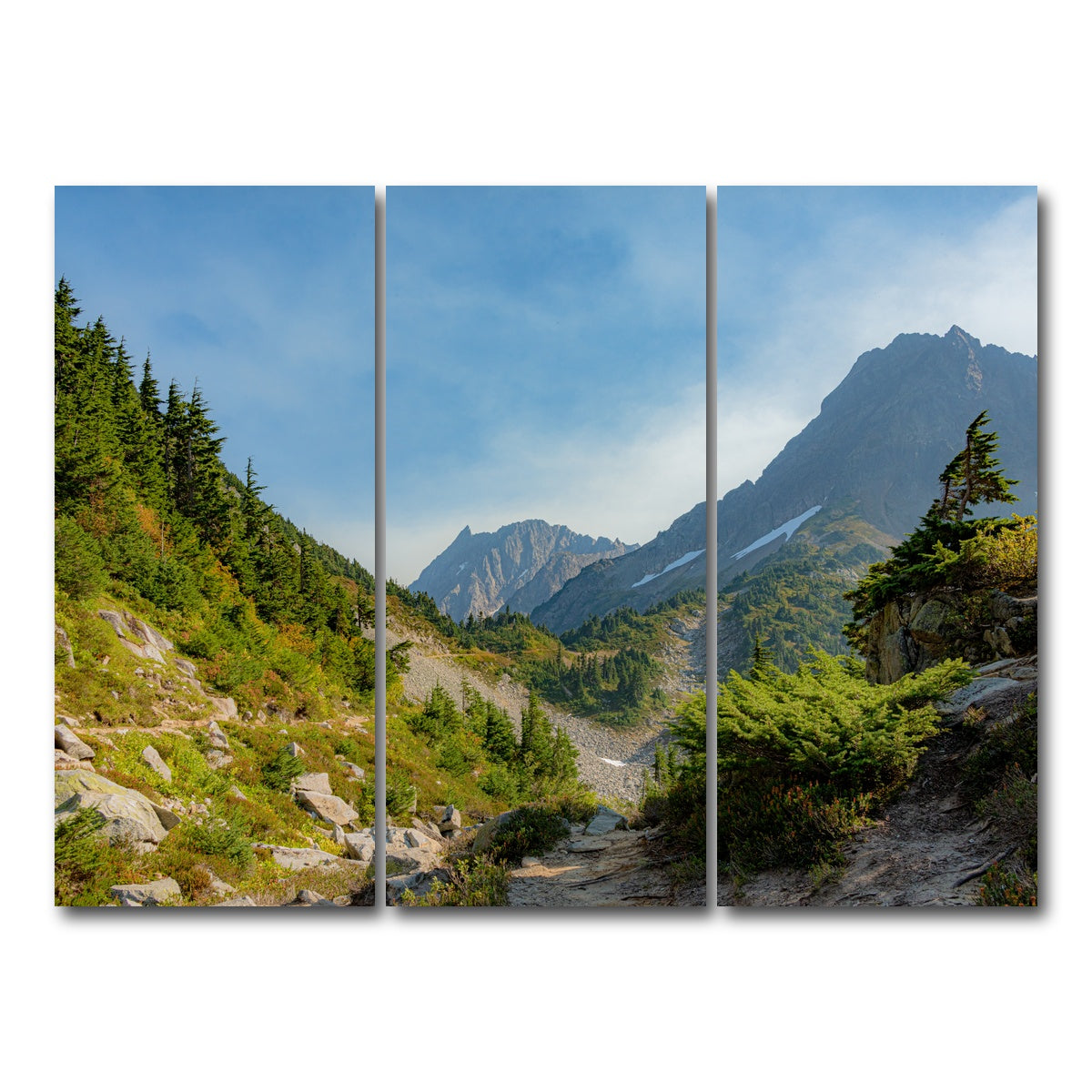 AUTO-MOCKUP WHITE | Treeline at Cascade Pass | 3 Piece | Gallery Wrap Canvas | group=8x18