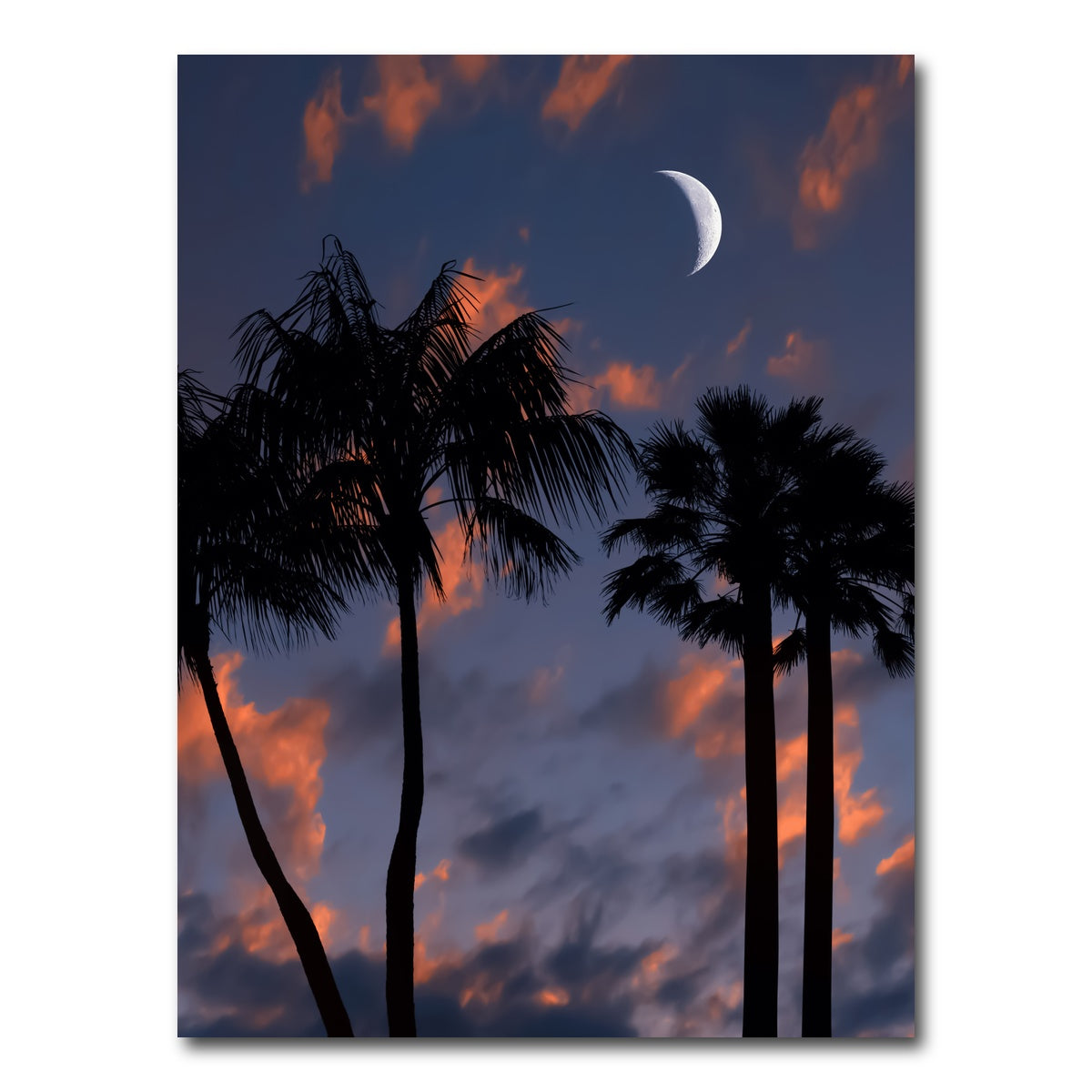 AUTO-MOCKUP WHITE | Tropical Night | 1 Piece | Gallery Wrap Canvas | group=3x4