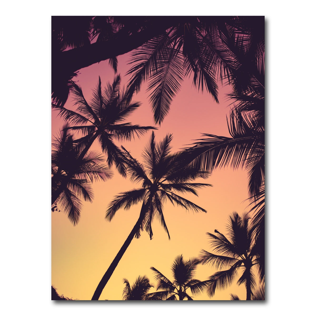 AUTO-MOCKUP WHITE | Tropical Palms | 1 Piece | Gallery Wrap Canvas | group=3x4