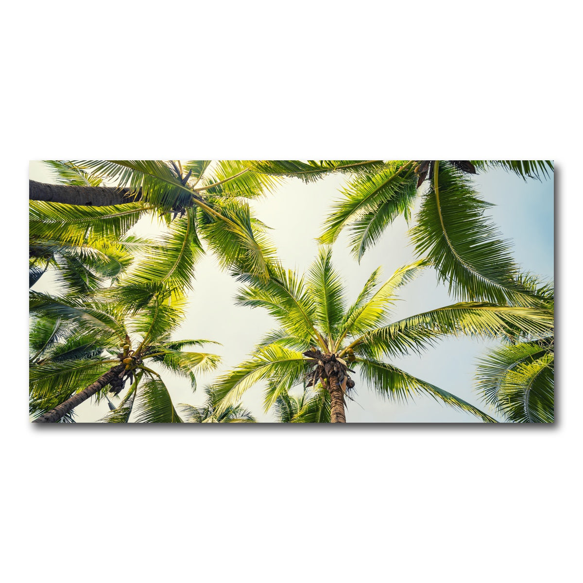 AUTO-MOCKUP WHITE | Tropical Vibes | 1 Piece | Gallery Wrap Canvas | group=2x1