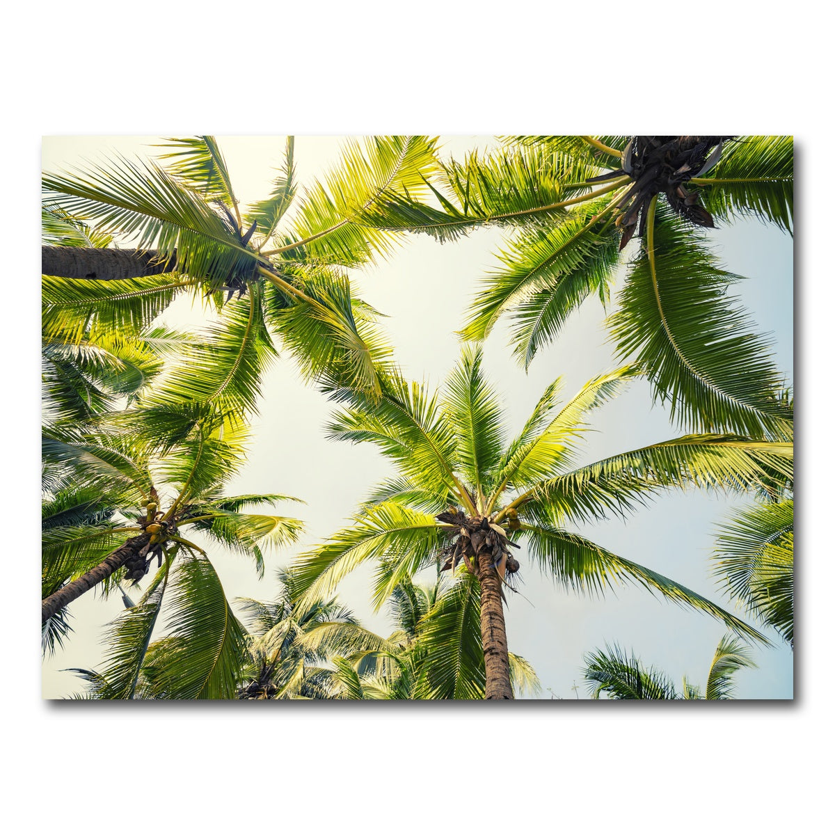 AUTO-MOCKUP WHITE | Tropical Vibes | 1 Piece | Gallery Wrap Canvas | group=4x3