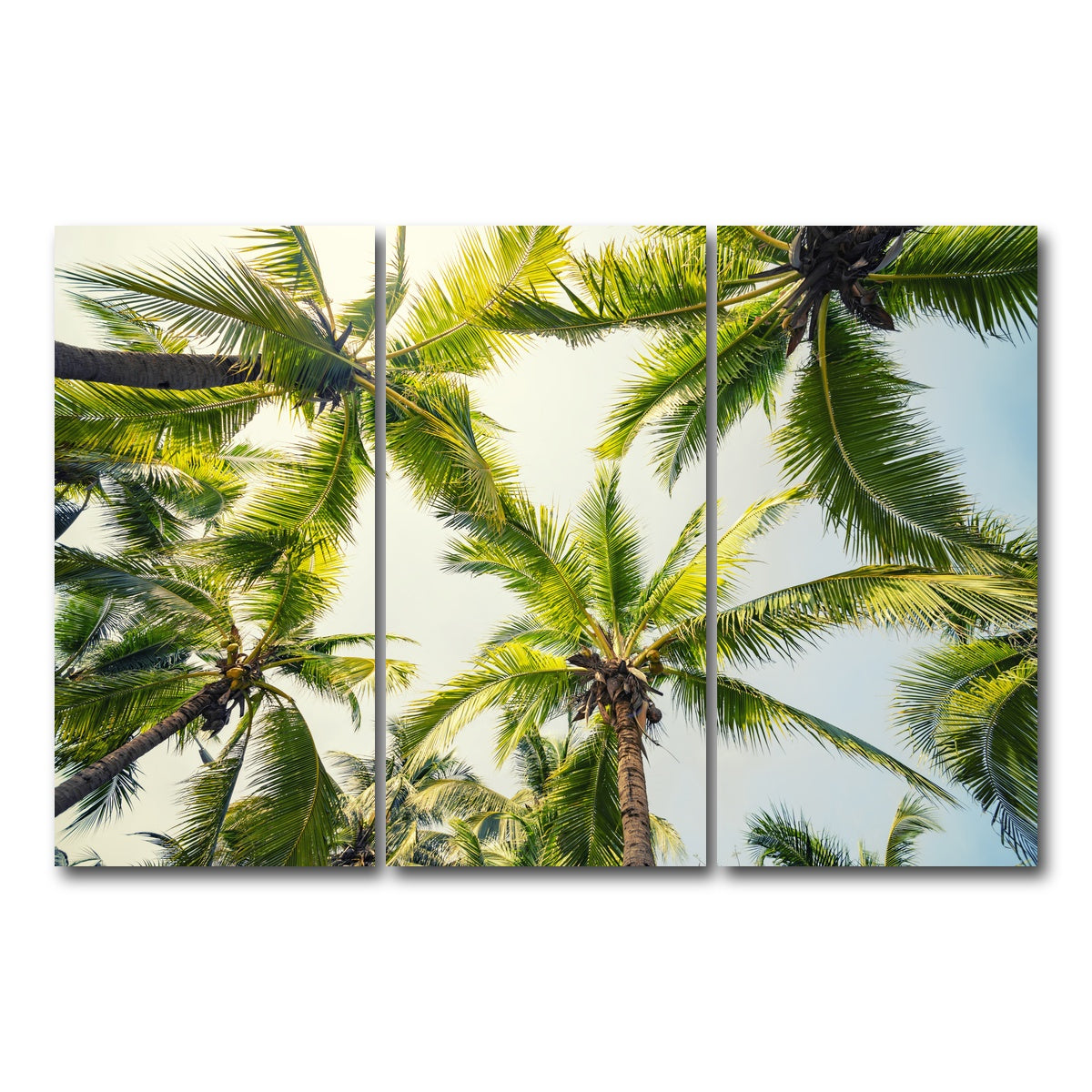 AUTO-MOCKUP WHITE | Tropical Vibes | 3 Piece | Gallery Wrap Canvas | group=12x24