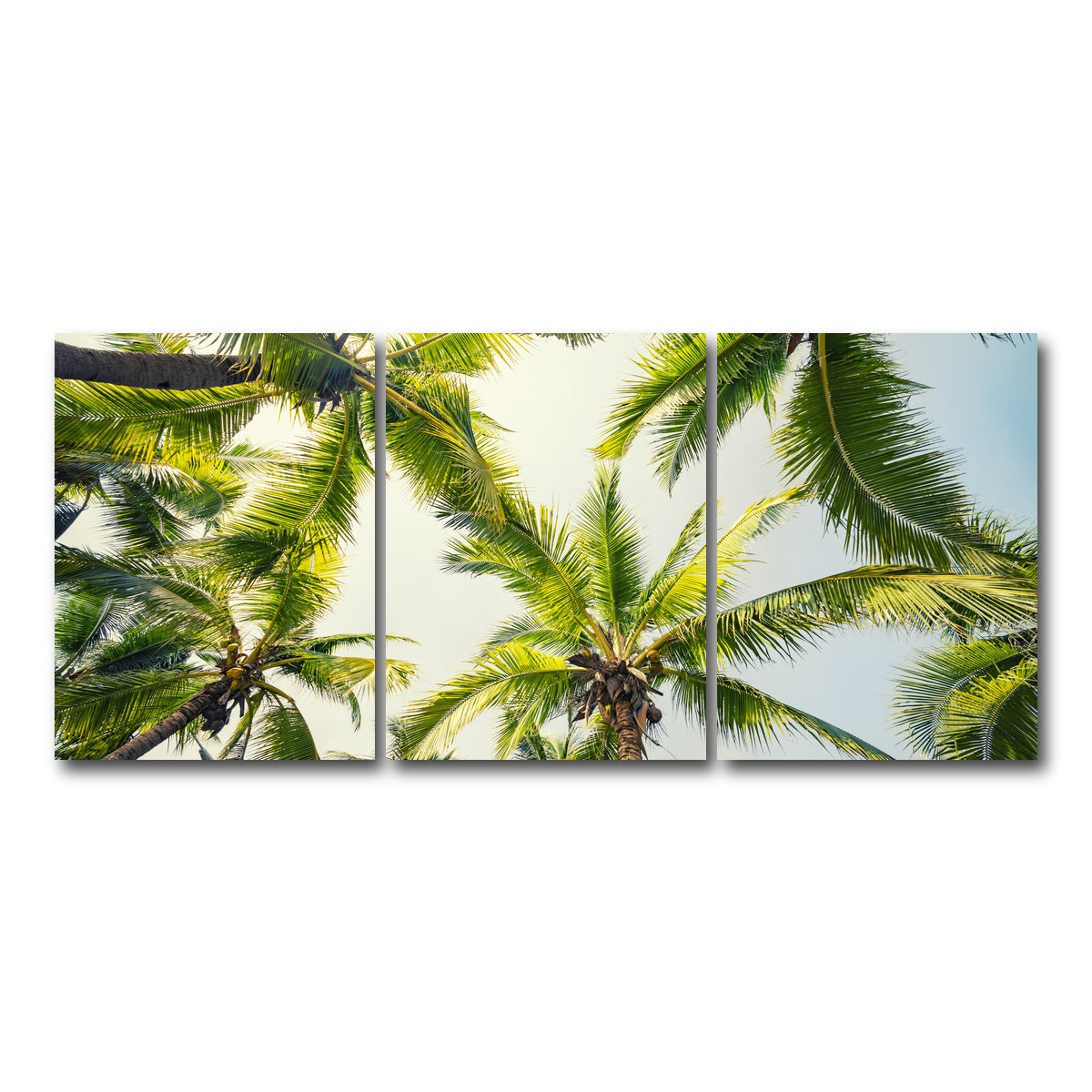 AUTO-MOCKUP WHITE | Tropical Vibes | 3 Piece | Gallery Wrap Canvas | group=18x24