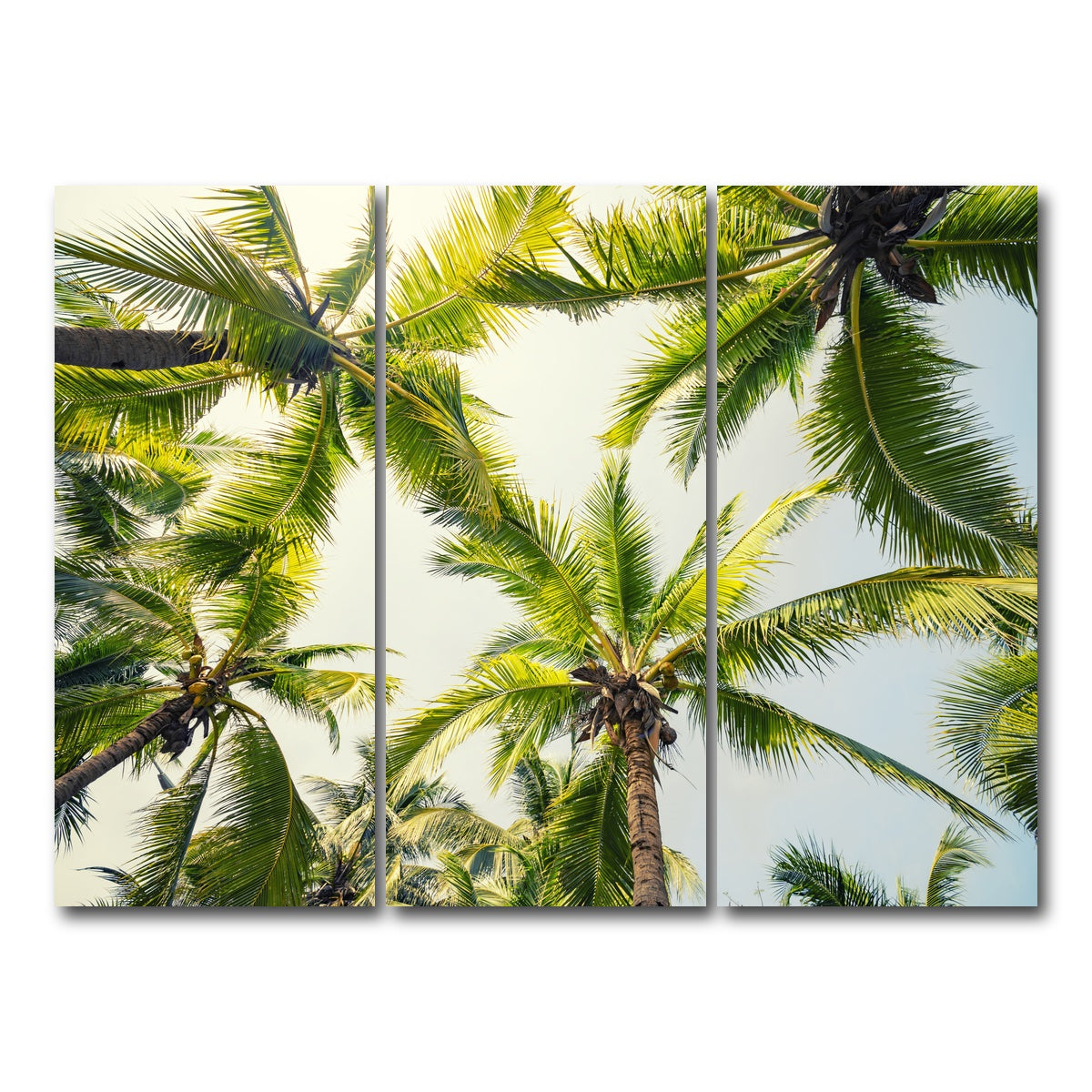 AUTO-MOCKUP WHITE | Tropical Vibes | 3 Piece | Gallery Wrap Canvas | group=8x18