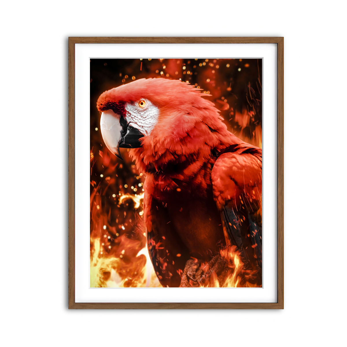 Framed Print 3x4 Walnut