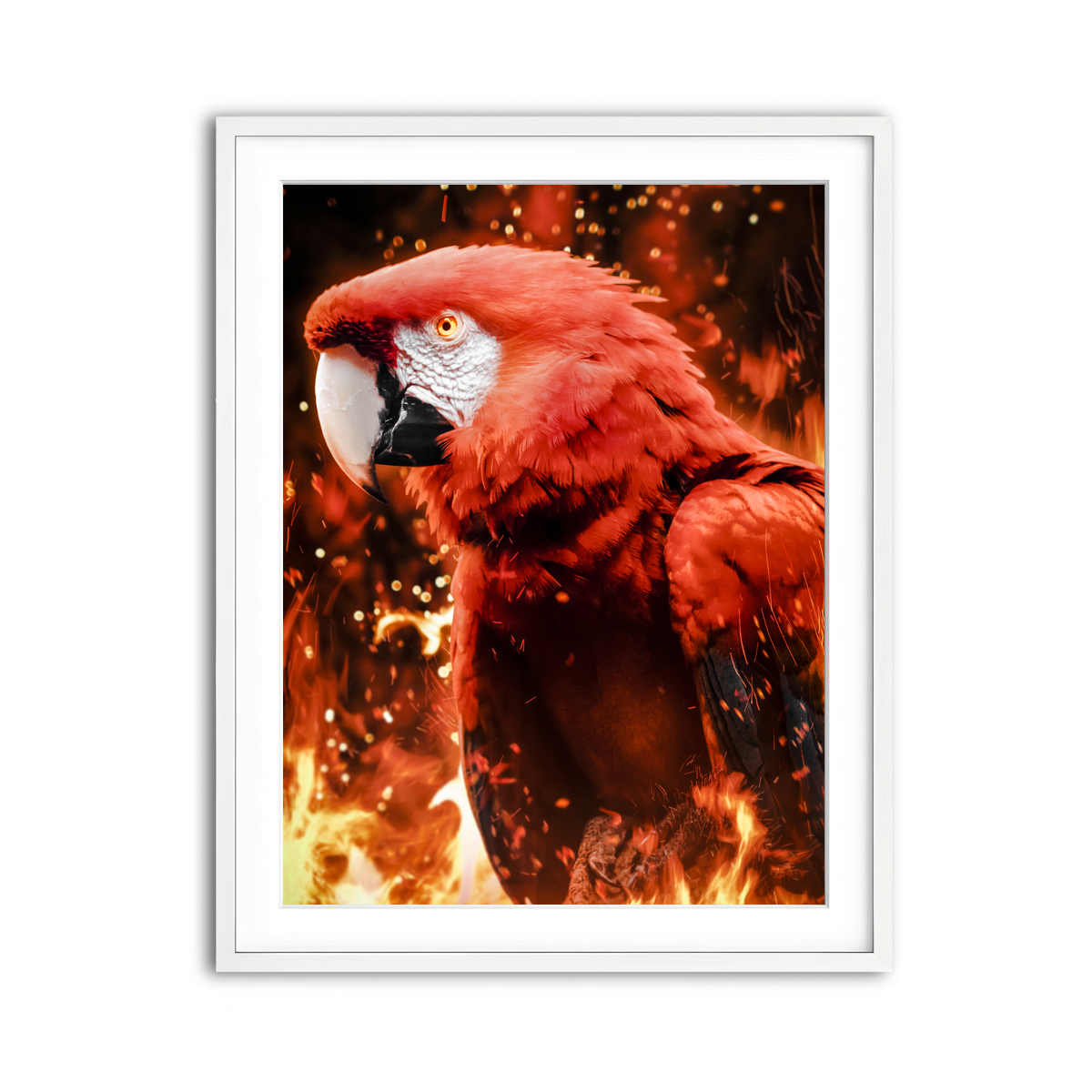 Framed Print 3x4 White