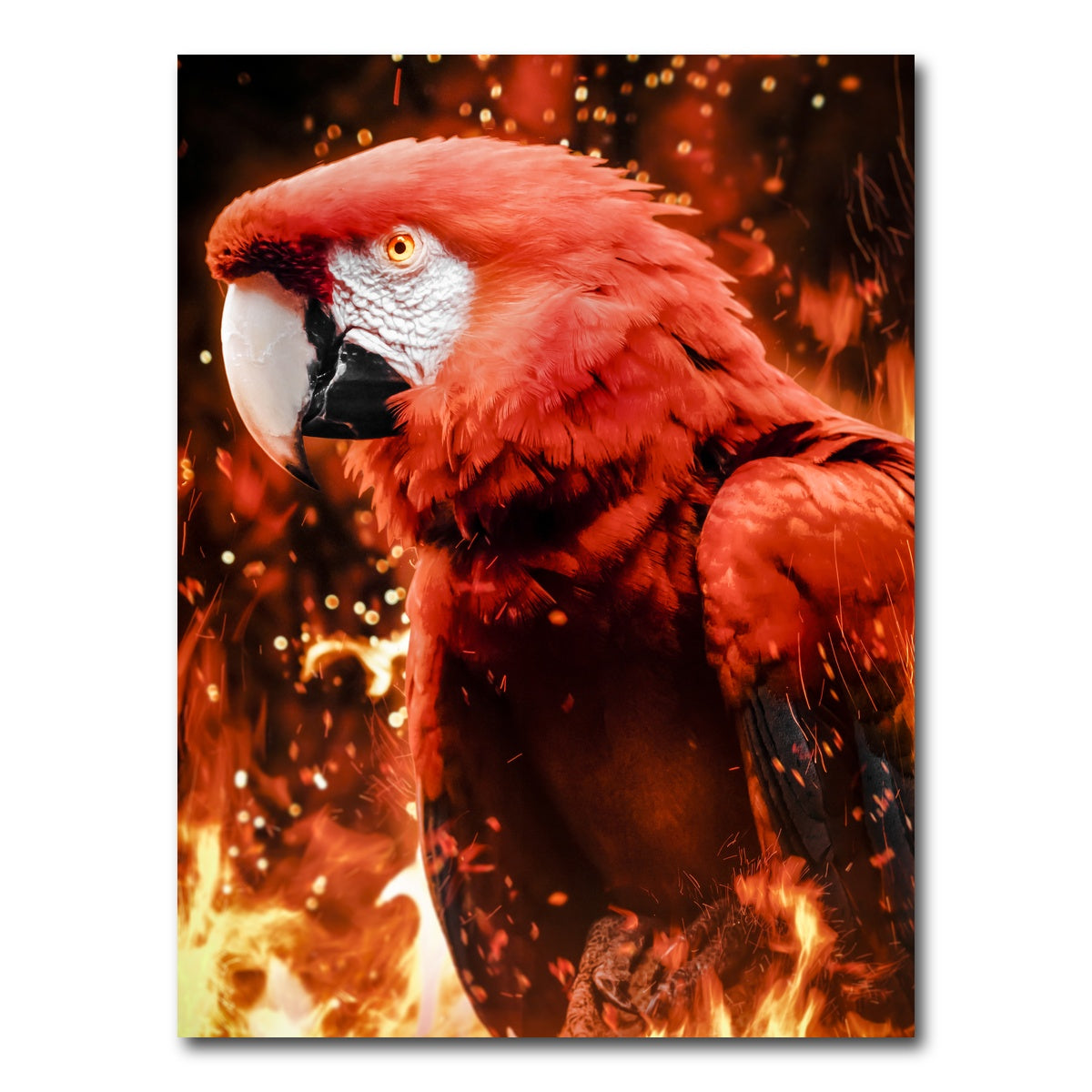 AUTO-MOCKUP WHITE | Tropical phoenix | 1 Piece | Gallery Wrap Canvas | group=3x4