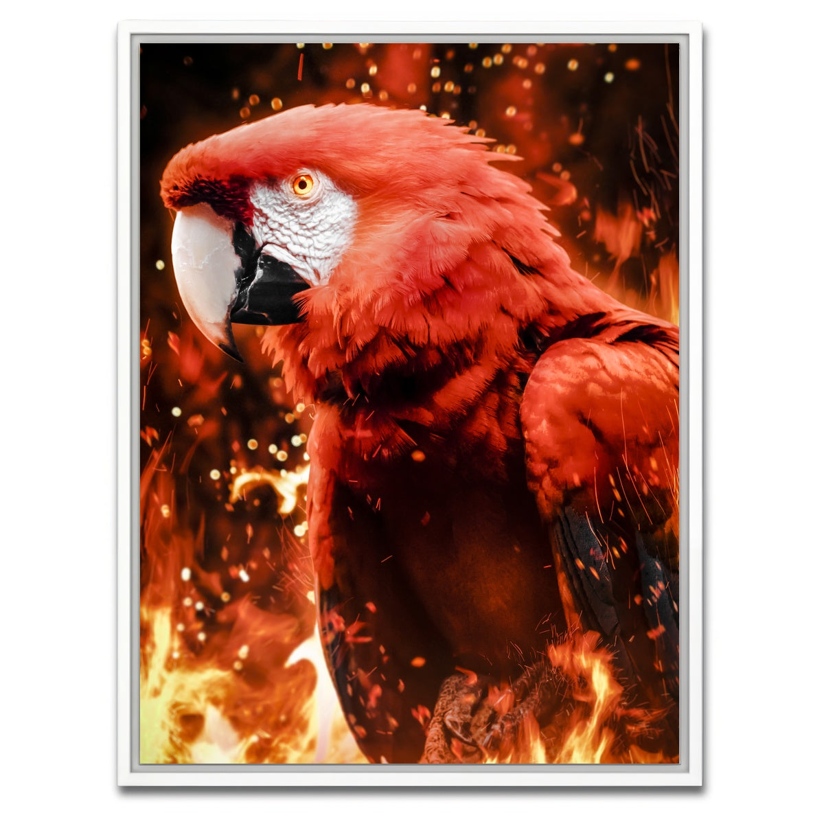 AUTO-MOCKUP WHITE | Tropical phoenix | 1 Piece | White Framed Canvas | group=3x4