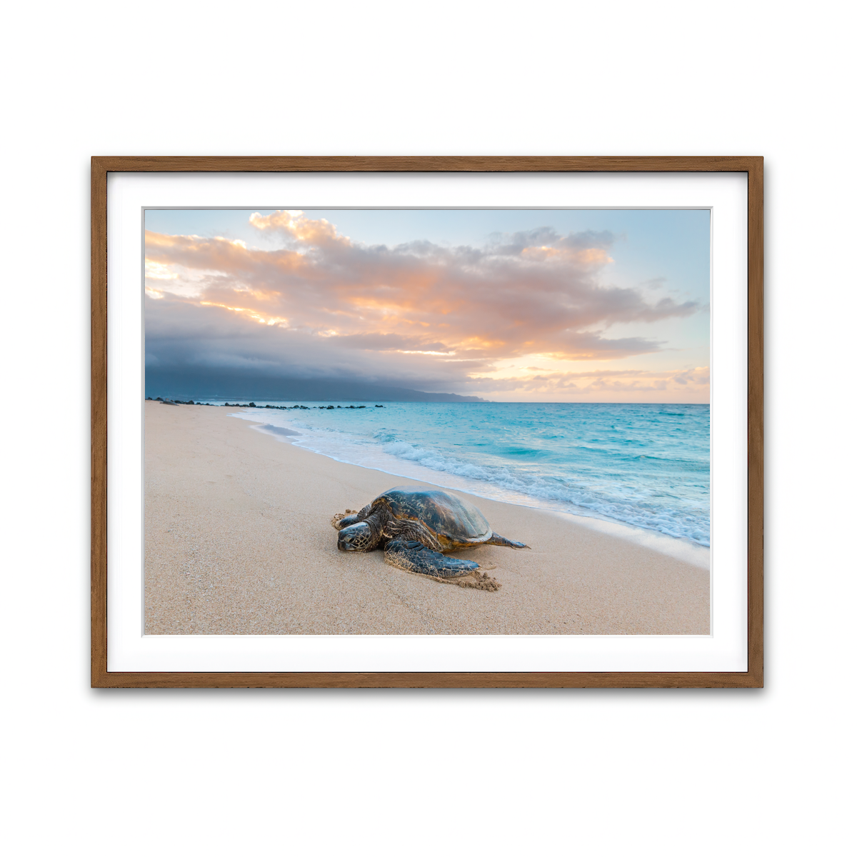Framed Print 4x3 Walnut