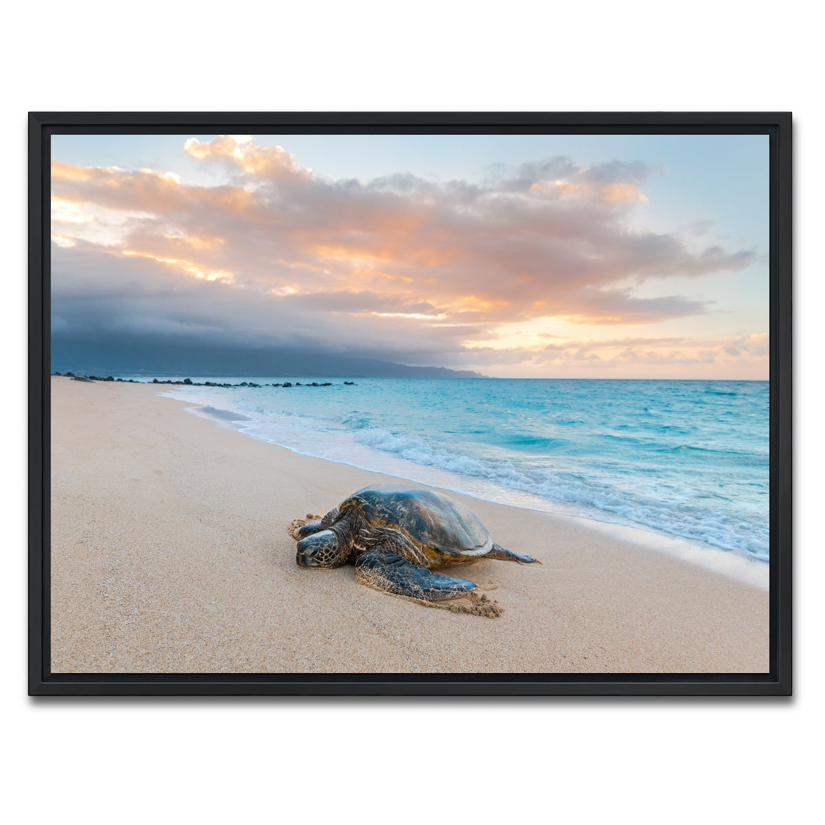 AUTO-MOCKUP WHITE | Turtle Sunset | 1 Piece | Black Framed Canvas | group=4x3