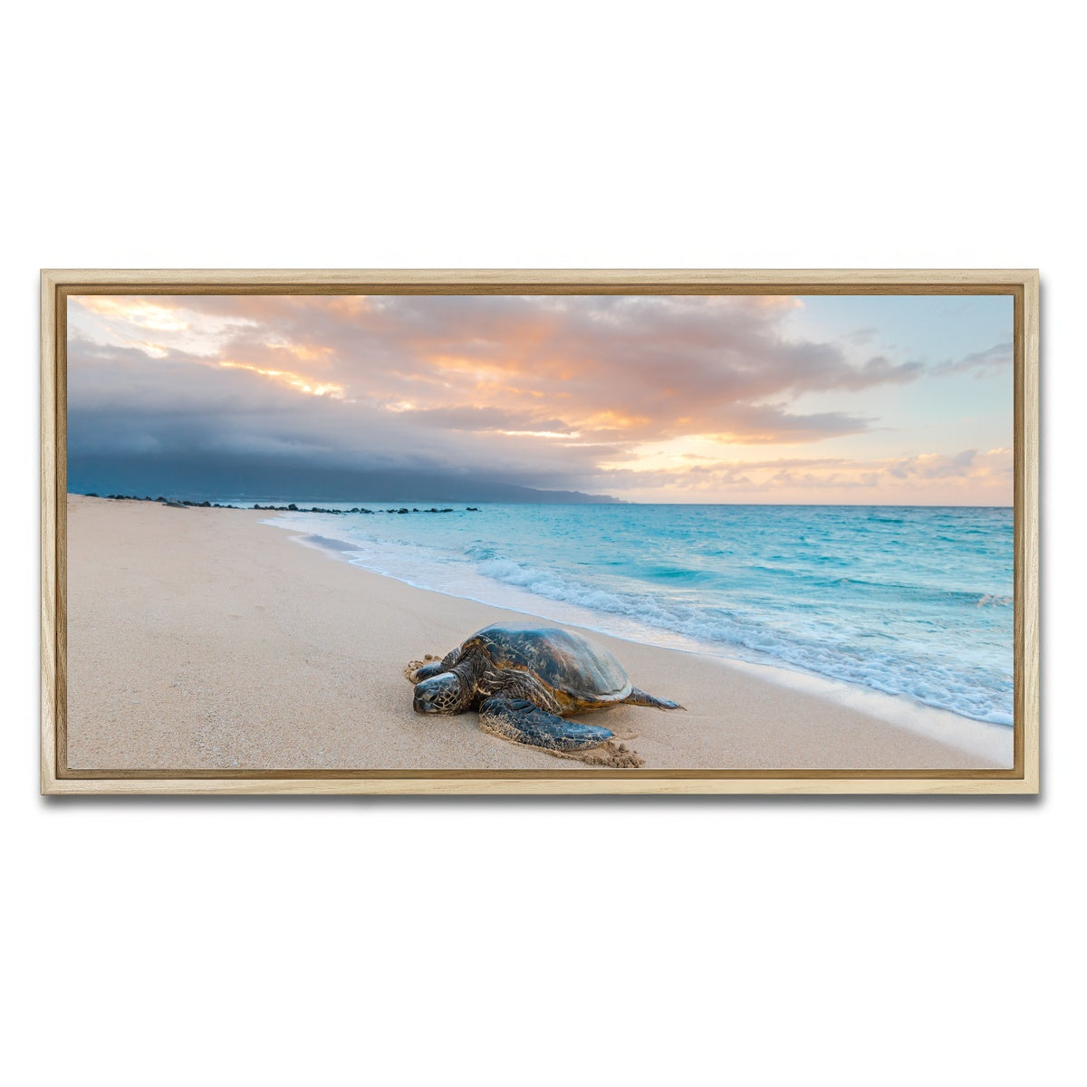 AUTO-MOCKUP WHITE | Turtle Sunset | 1 Piece | Natural Framed Canvas | group=2x1