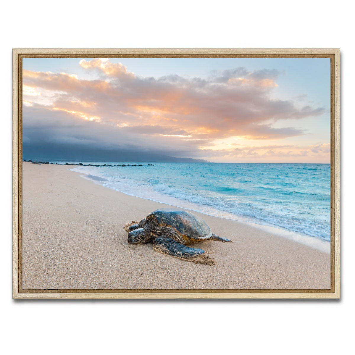 AUTO-MOCKUP WHITE | Turtle Sunset | 1 Piece | Natural Framed Canvas | group=4x3