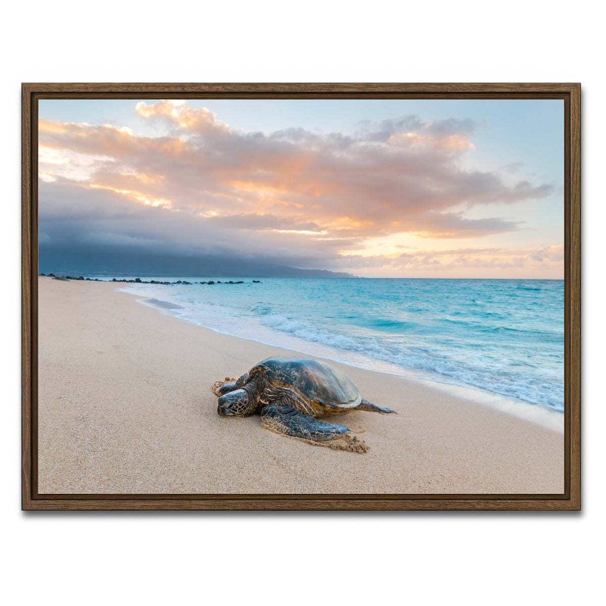 AUTO-MOCKUP WHITE | Turtle Sunset | 1 Piece | Walnut Framed Canvas | group=4x3