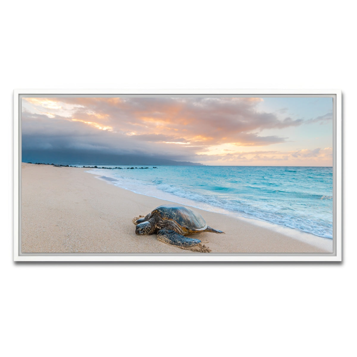 AUTO-MOCKUP WHITE | Turtle Sunset | 1 Piece | White Framed Canvas | group=2x1