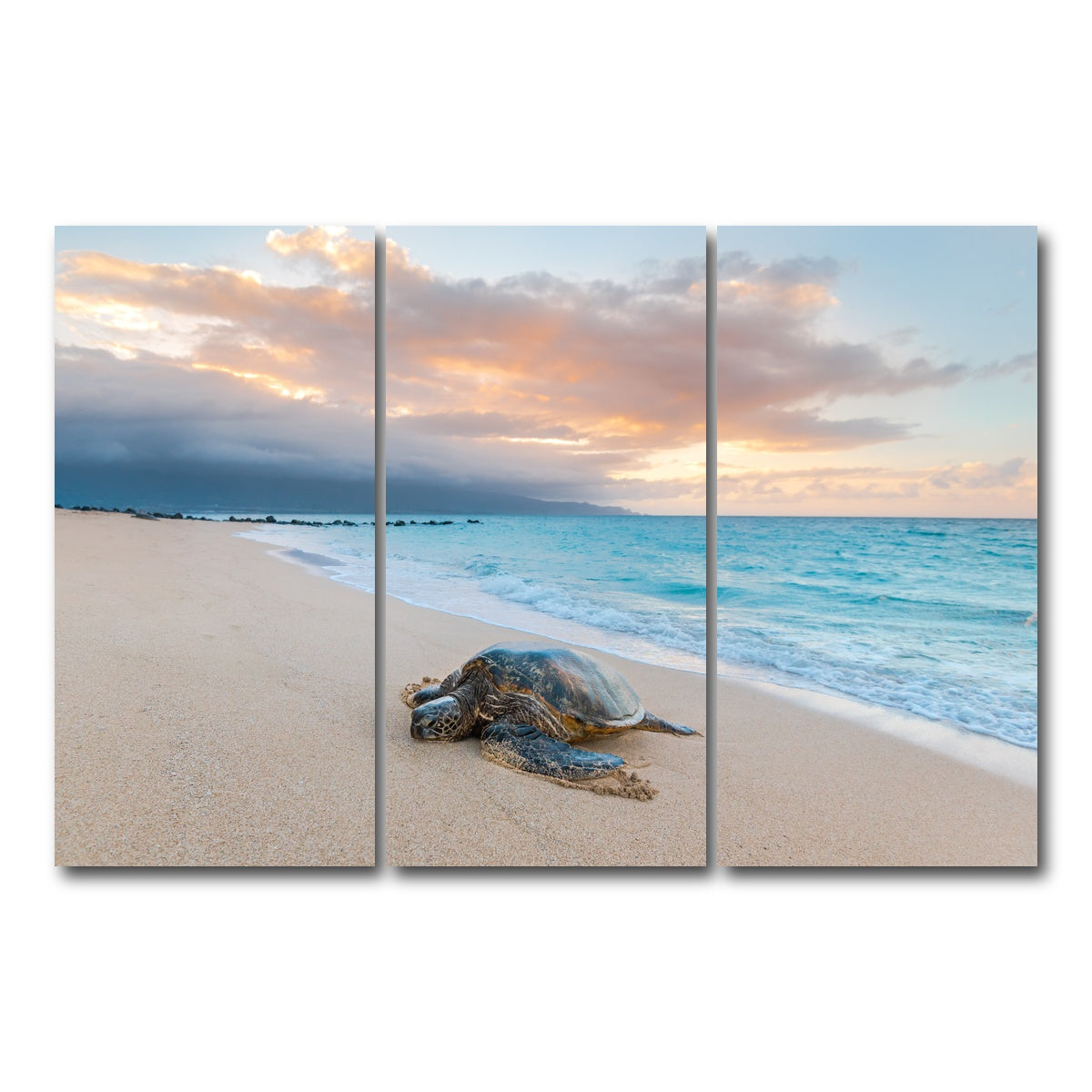 AUTO-MOCKUP WHITE | Turtle Sunset | 3 Piece | Gallery Wrap Canvas | group=12x24
