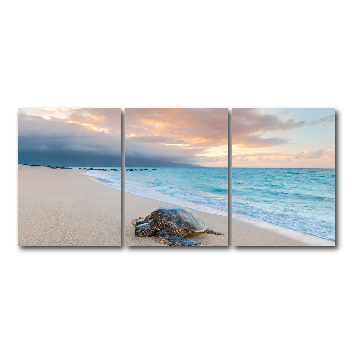 AUTO-MOCKUP WHITE | Turtle Sunset | 3 Piece | Gallery Wrap Canvas | group=18x24