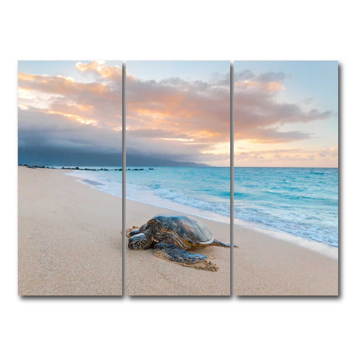 AUTO-MOCKUP WHITE | Turtle Sunset | 3 Piece | Gallery Wrap Canvas | group=8x18