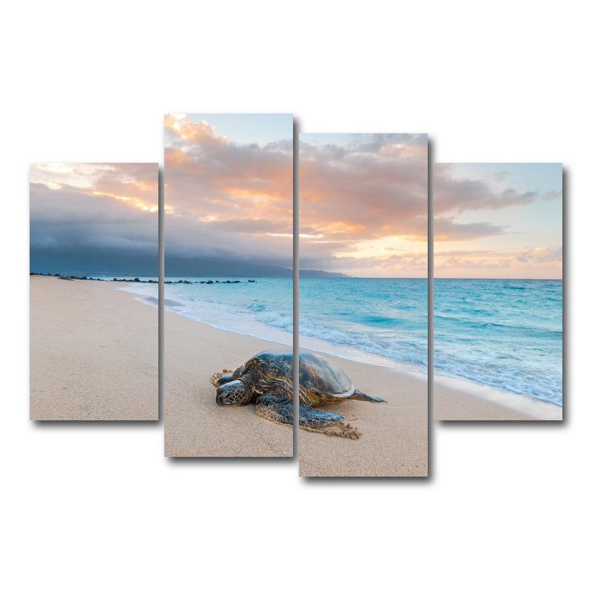 AUTO-MOCKUP WHITE | Turtle Sunset | 4 Piece | Gallery Wrap Canvas | group=4_short