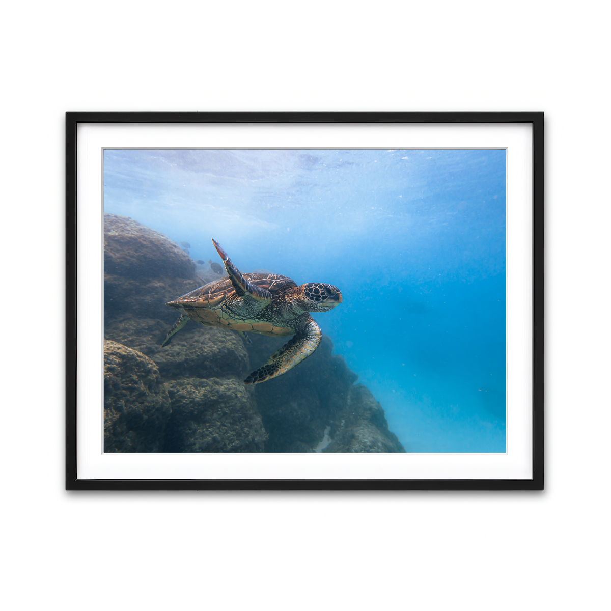 Framed Print 4x3 Black
