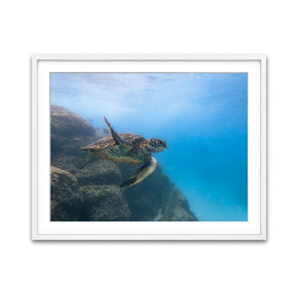 Framed Print 4x3 White