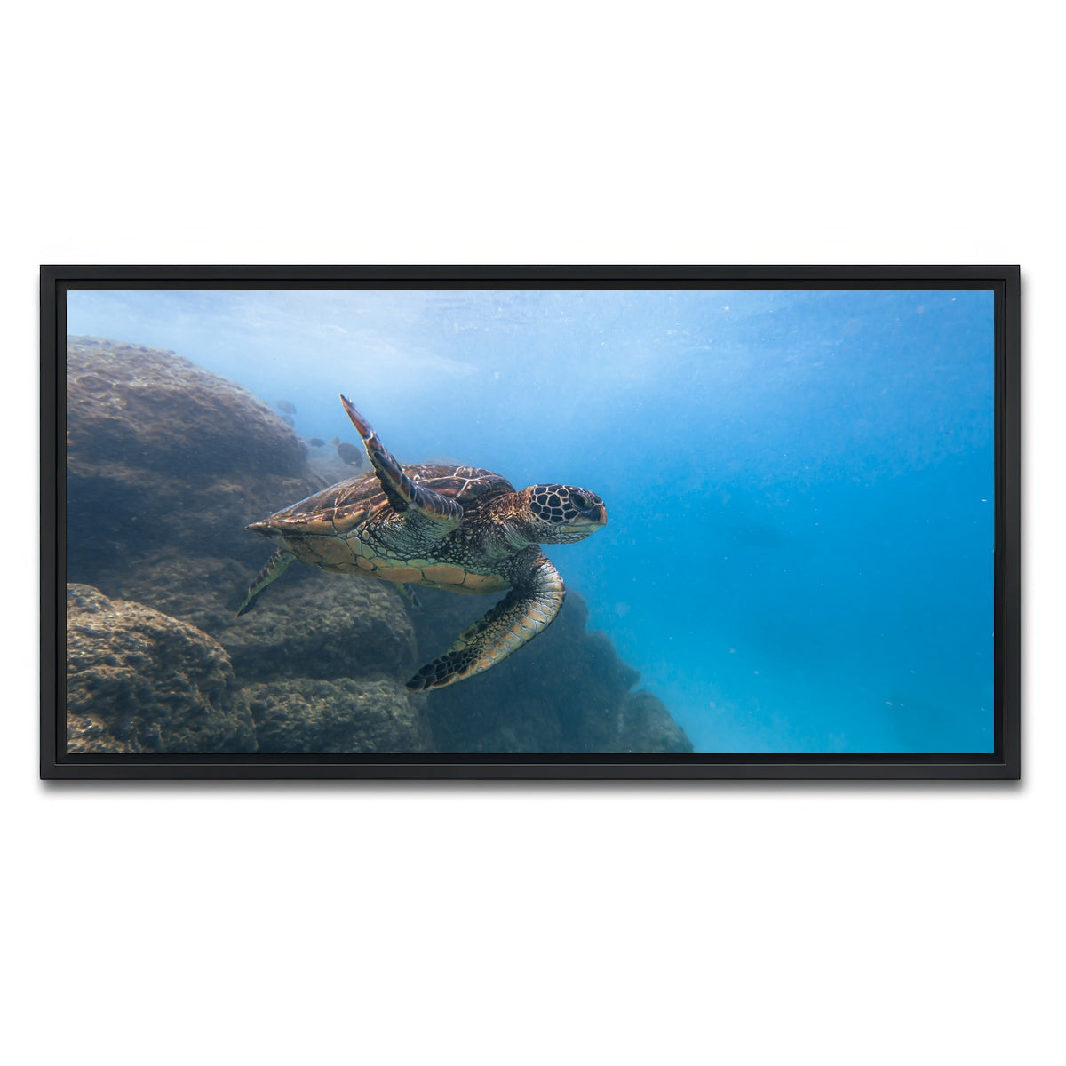 AUTO-MOCKUP WHITE | Turtle Wave | 1 Piece | Black Framed Canvas | group=2x1
