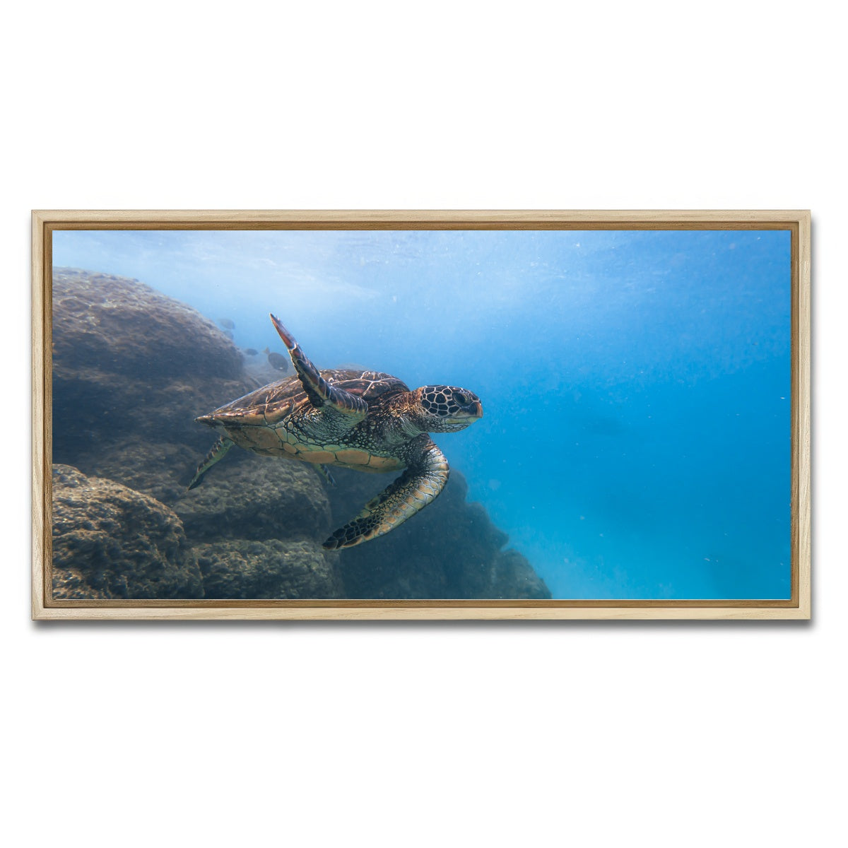 AUTO-MOCKUP WHITE | Turtle Wave | 1 Piece | Natural Framed Canvas | group=2x1