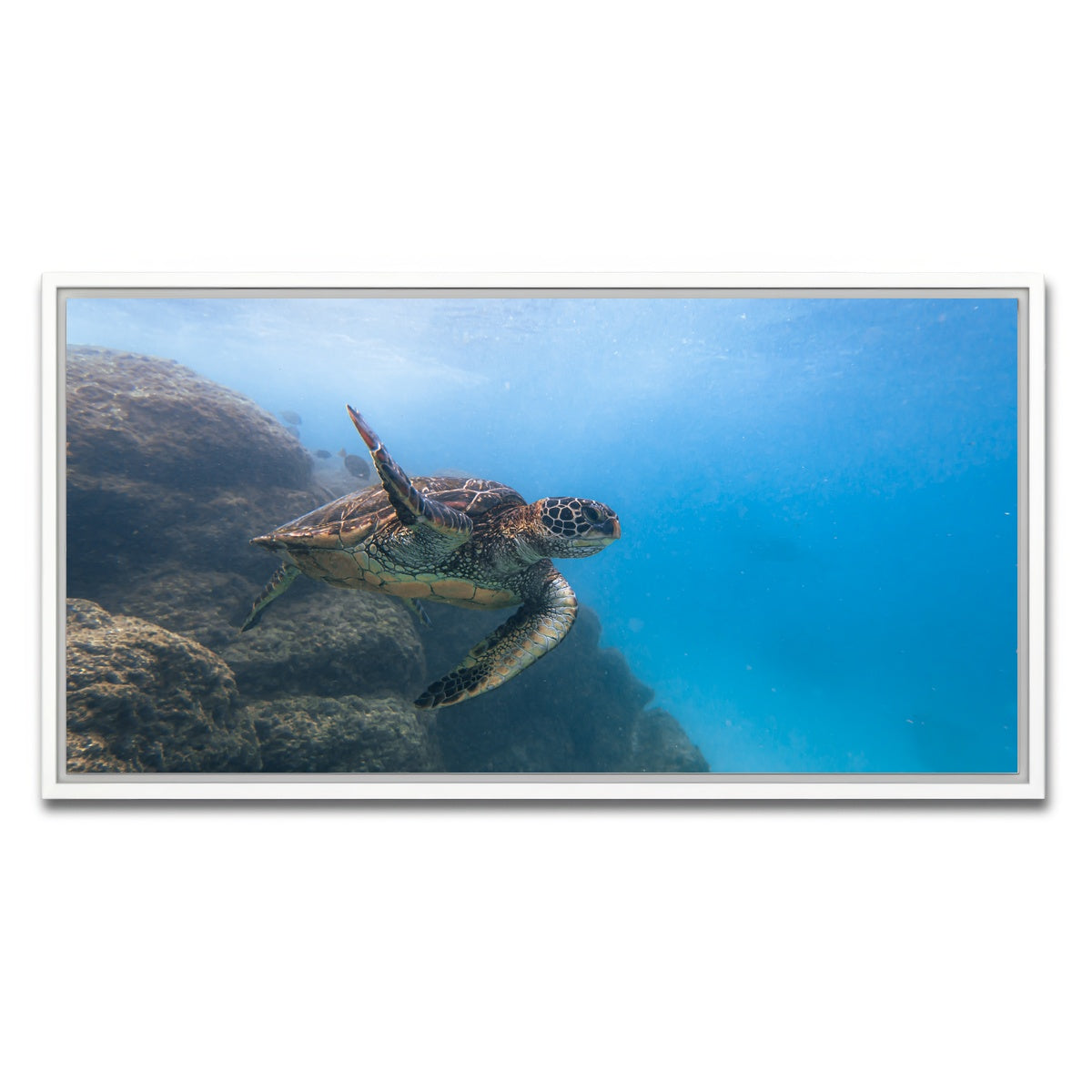 AUTO-MOCKUP WHITE | Turtle Wave | 1 Piece | White Framed Canvas | group=2x1
