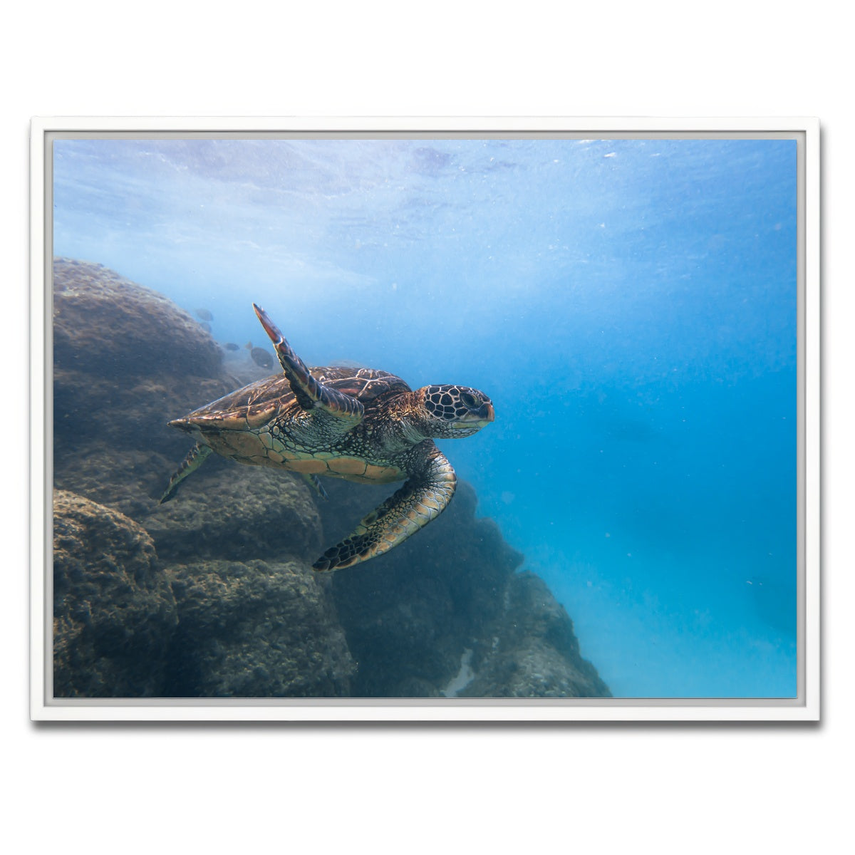 AUTO-MOCKUP WHITE | Turtle Wave | 1 Piece | White Framed Canvas | group=4x3