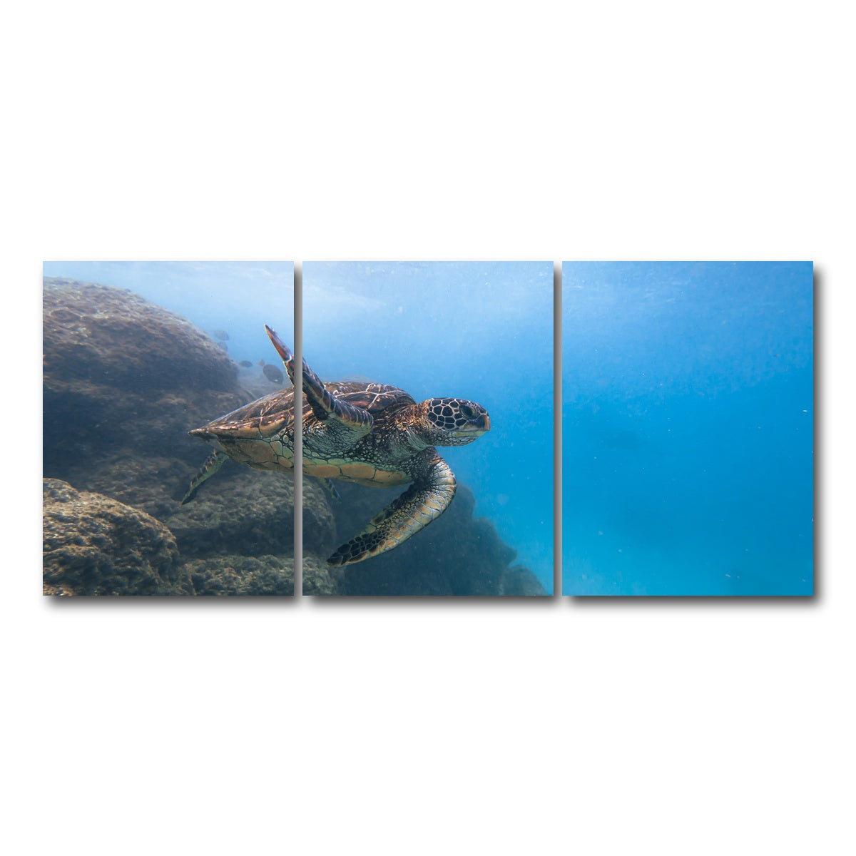 AUTO-MOCKUP WHITE | Turtle Wave | 3 Piece | Gallery Wrap Canvas | group=18x24