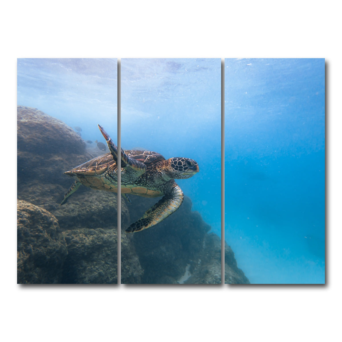 AUTO-MOCKUP WHITE | Turtle Wave | 3 Piece | Gallery Wrap Canvas | group=8x18