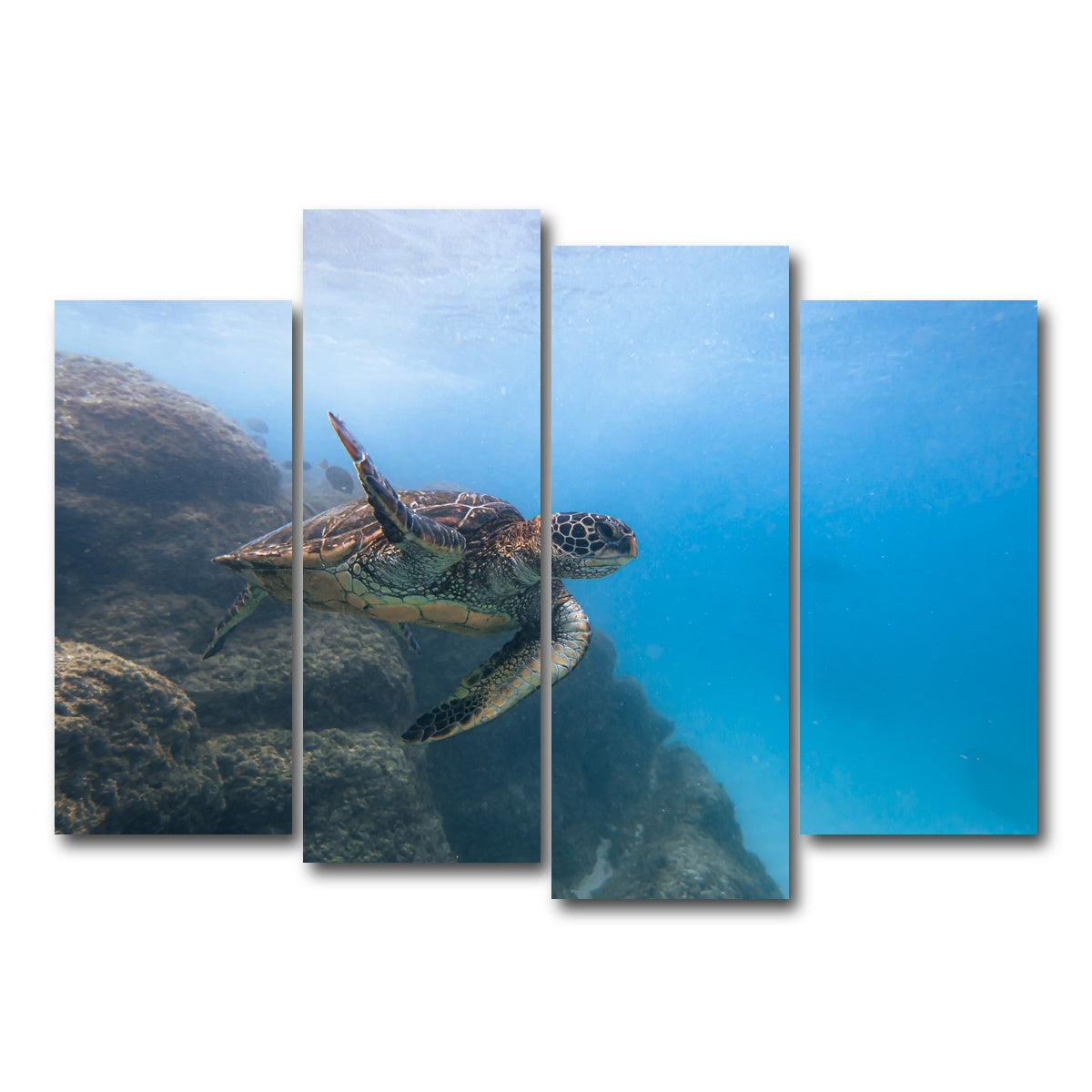 AUTO-MOCKUP WHITE | Turtle Wave | 4 Piece | Gallery Wrap Canvas | group=4_normal