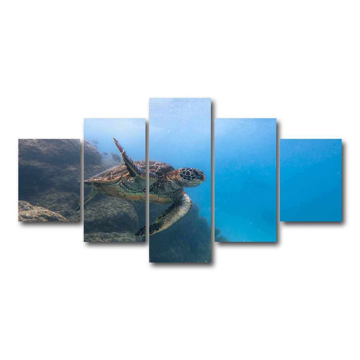 AUTO-MOCKUP WHITE | Turtle Wave | 5 Piece | Gallery Wrap Canvas | group=5_short