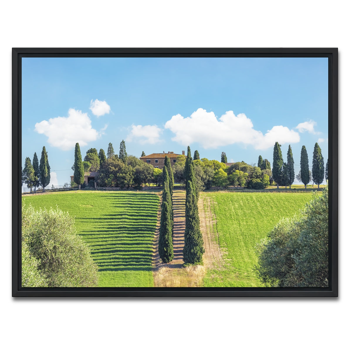 AUTO-MOCKUP WHITE | Tuscany | 1 Piece | Black Framed Canvas | group=4x3