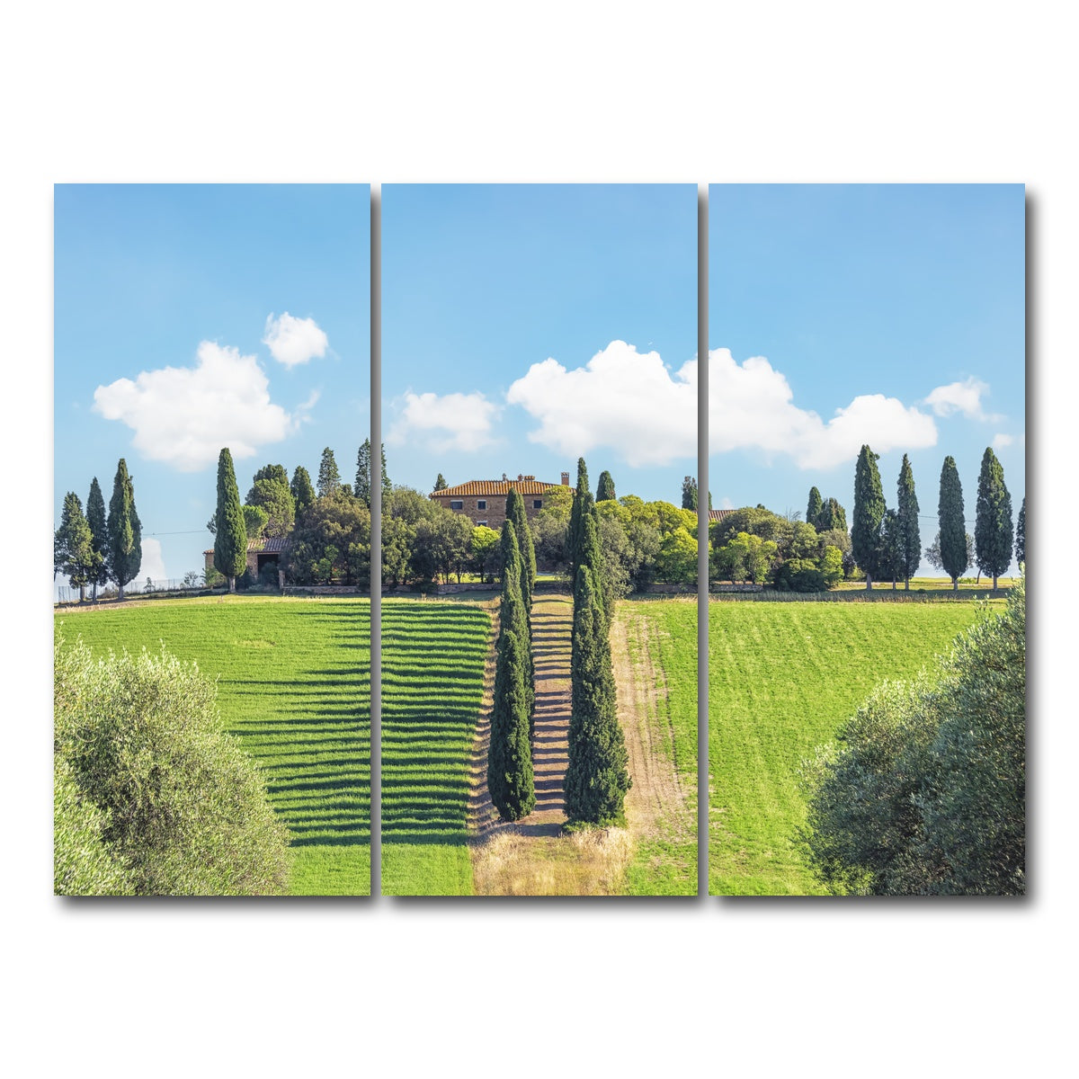 AUTO-MOCKUP WHITE | Tuscany | 3 Piece | Gallery Wrap Canvas | group=8x18