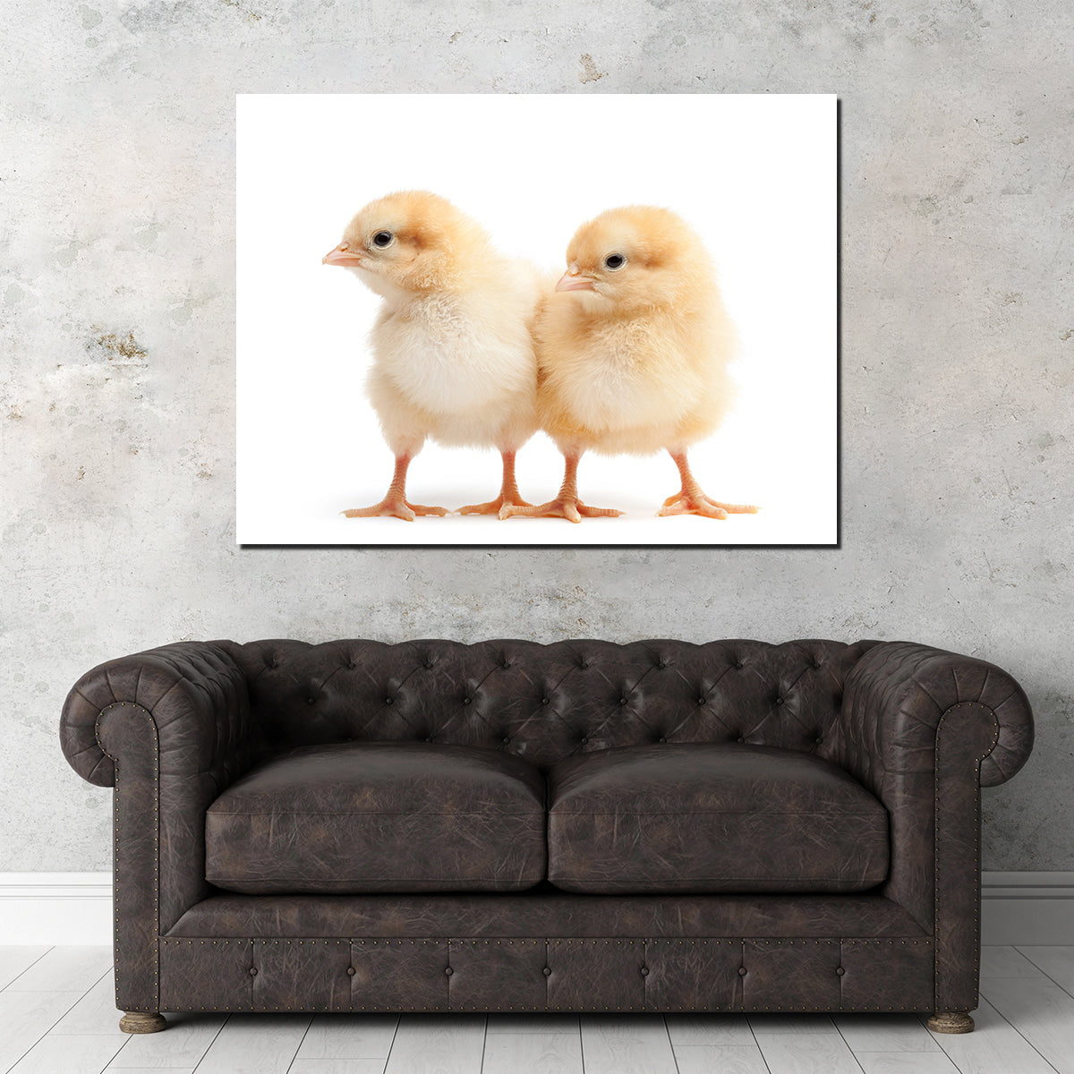 Two Baby Chickens Wall Art