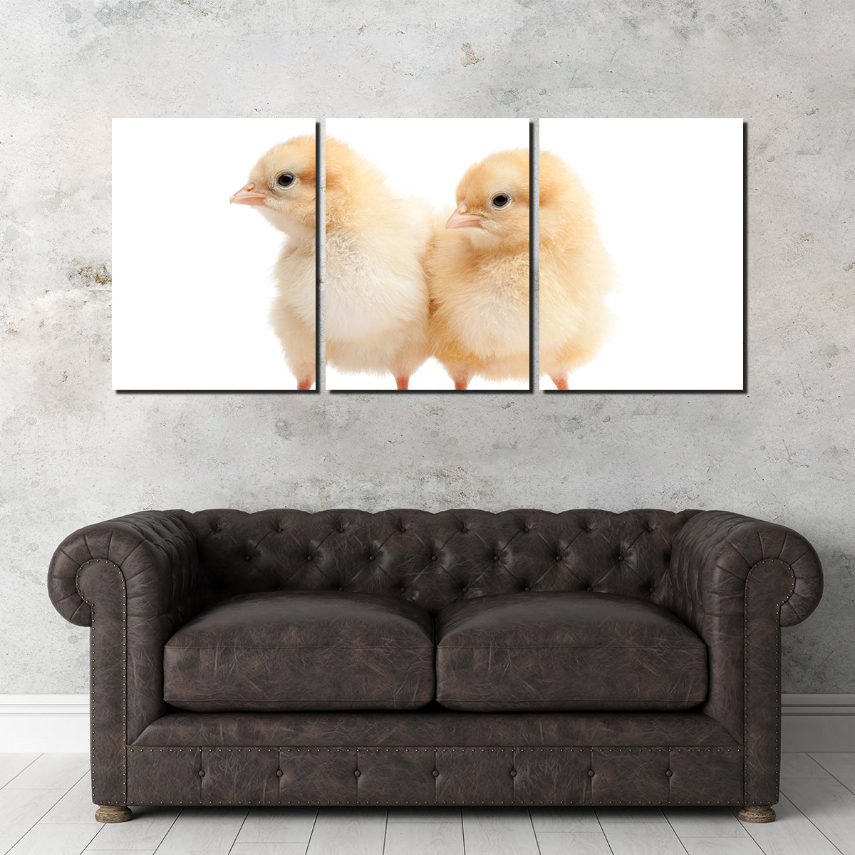 Two Baby Chickens Wall Art