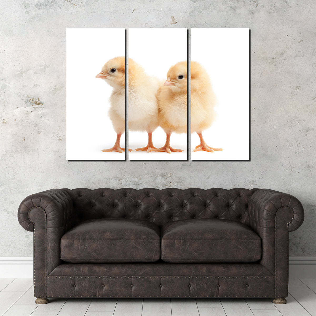 Two Baby Chickens Wall Art