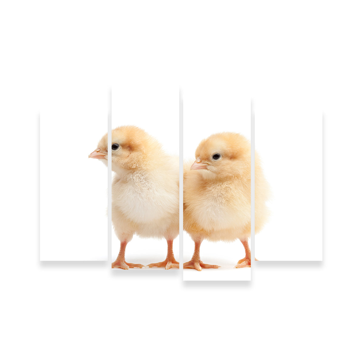 Two Baby Chickens Wall Art
