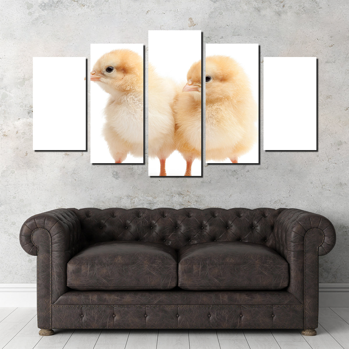 Two Baby Chickens Wall Art
