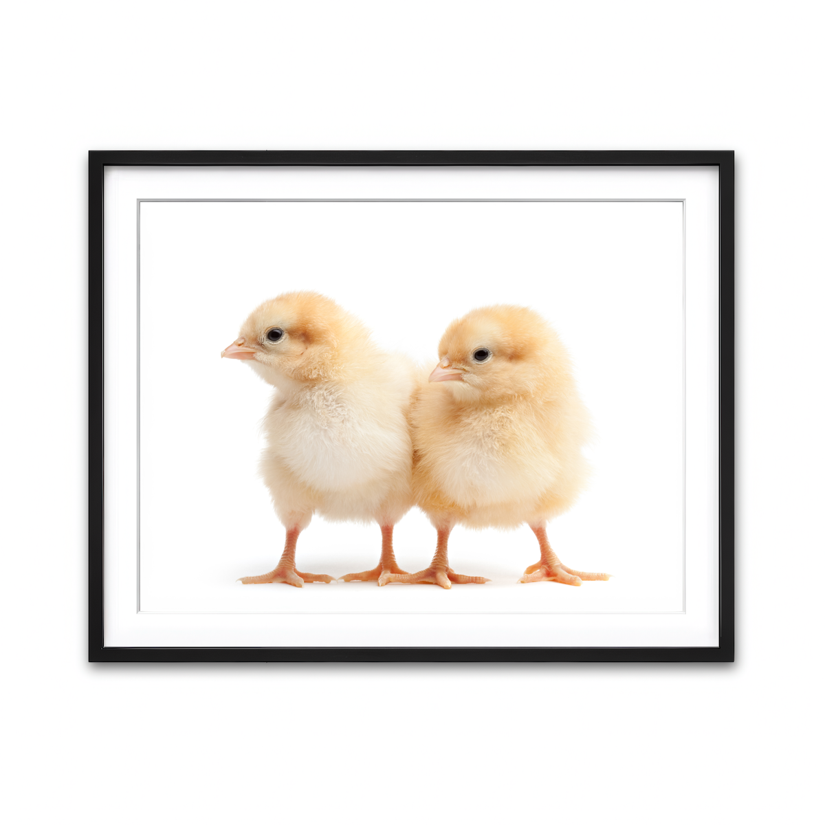 Framed Print 4x3 Black