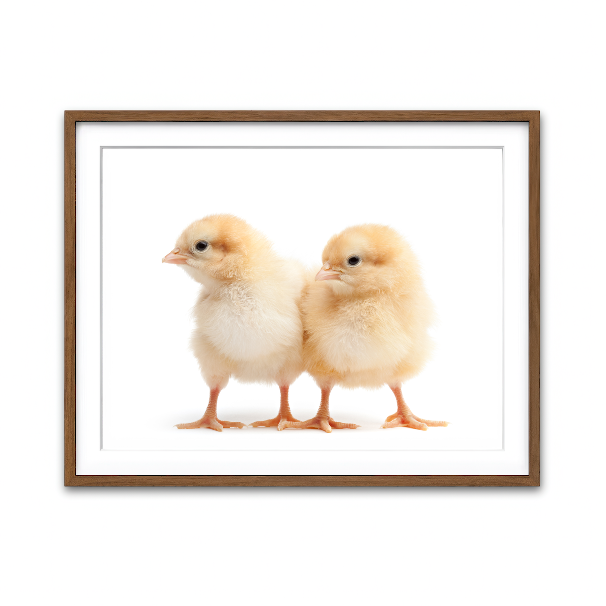 Framed Print 4x3 Walnut