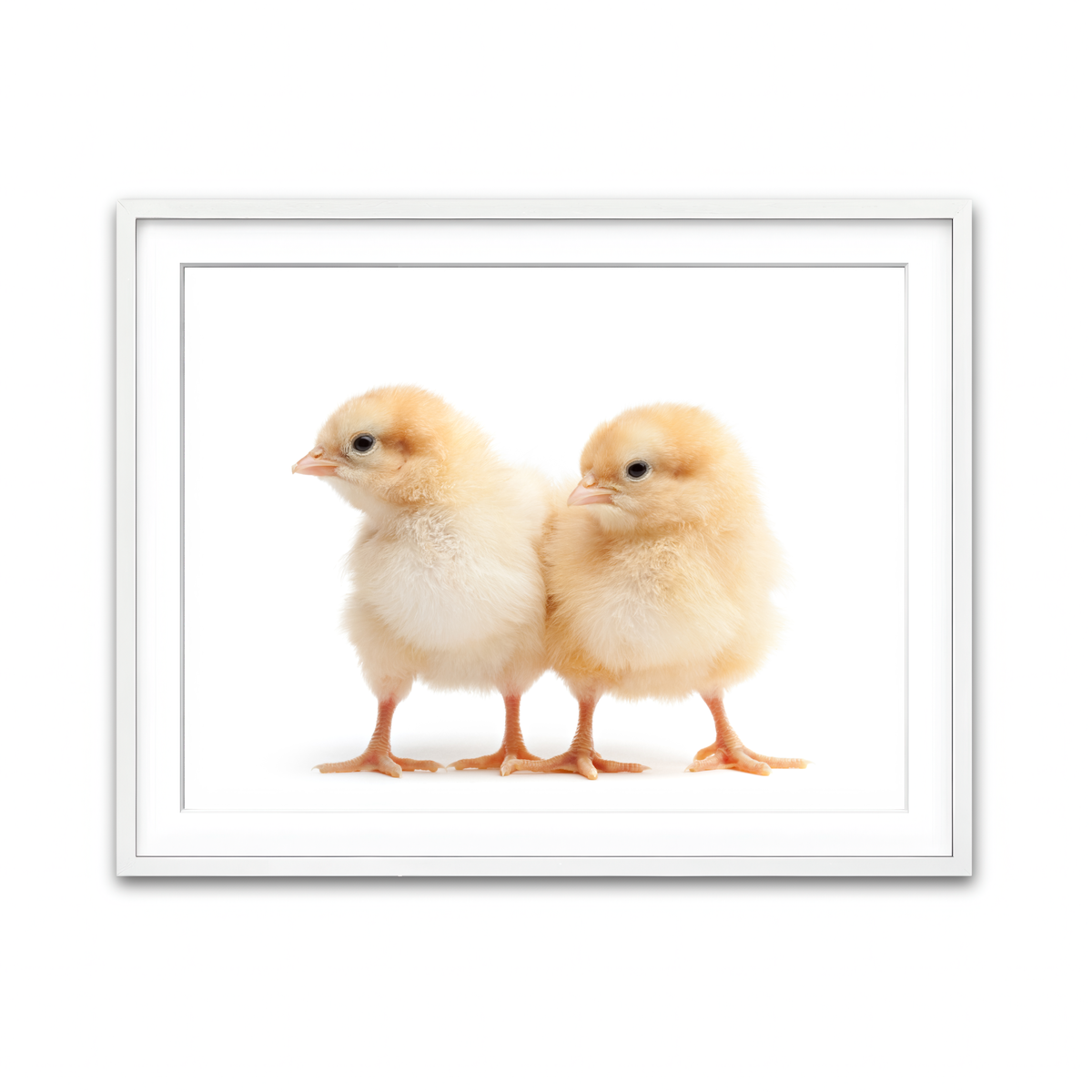 Framed Print 4x3 White