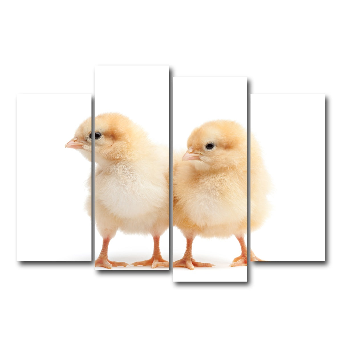 AUTO-MOCKUP WHITE | Two Baby Chickens | 4 Piece | Gallery Wrap Canvas | group=4_normal
