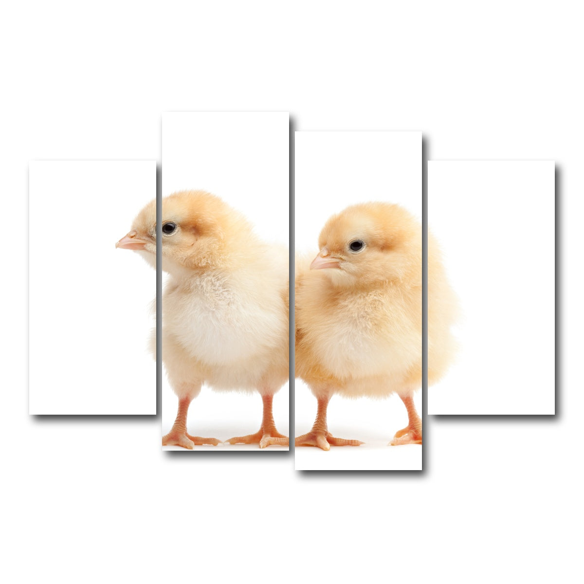 AUTO-MOCKUP WHITE | Two Baby Chickens | 4 Piece | Gallery Wrap Canvas | group=4_short