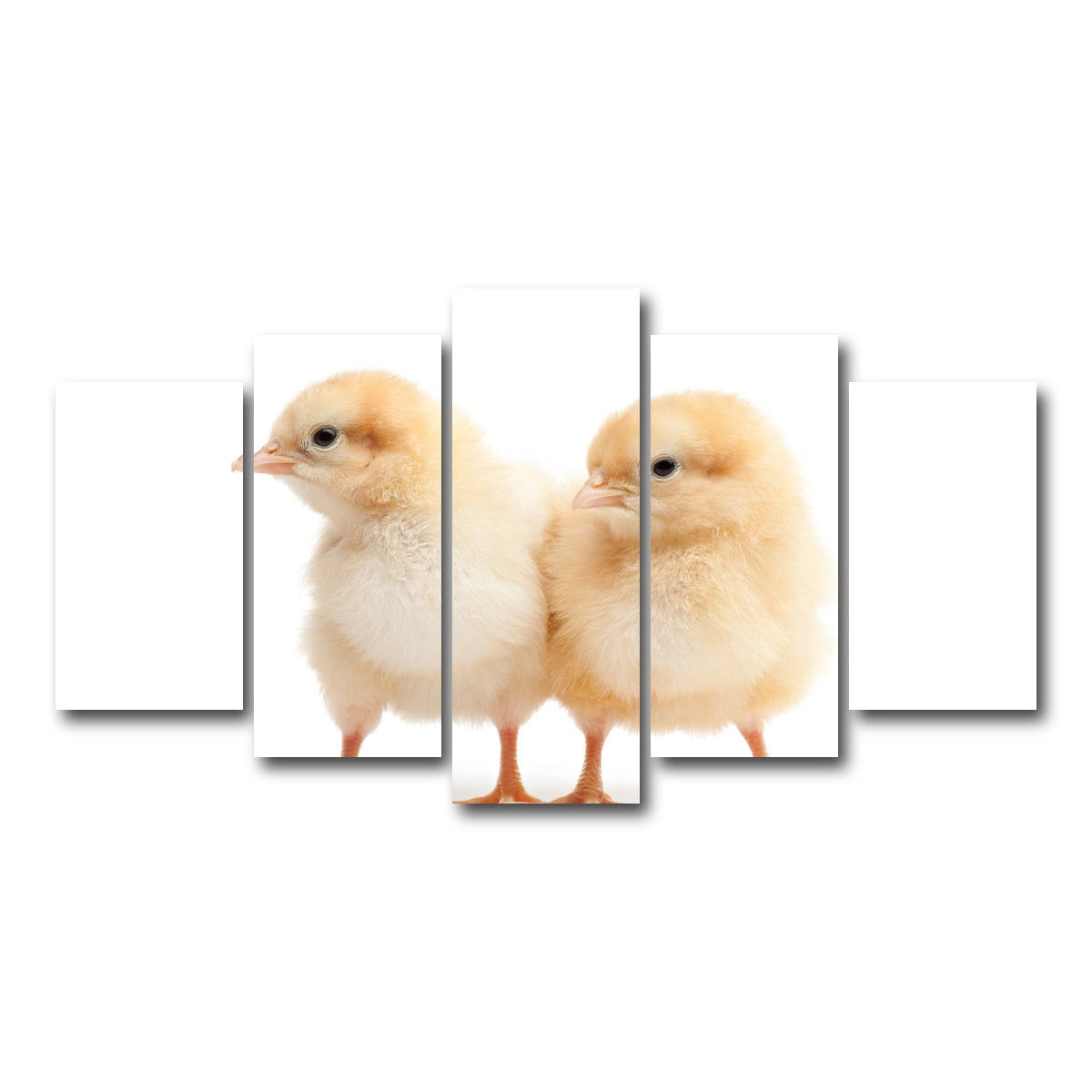 AUTO-MOCKUP WHITE | Two Baby Chickens | 5 Piece | Gallery Wrap Canvas | group=5_normal