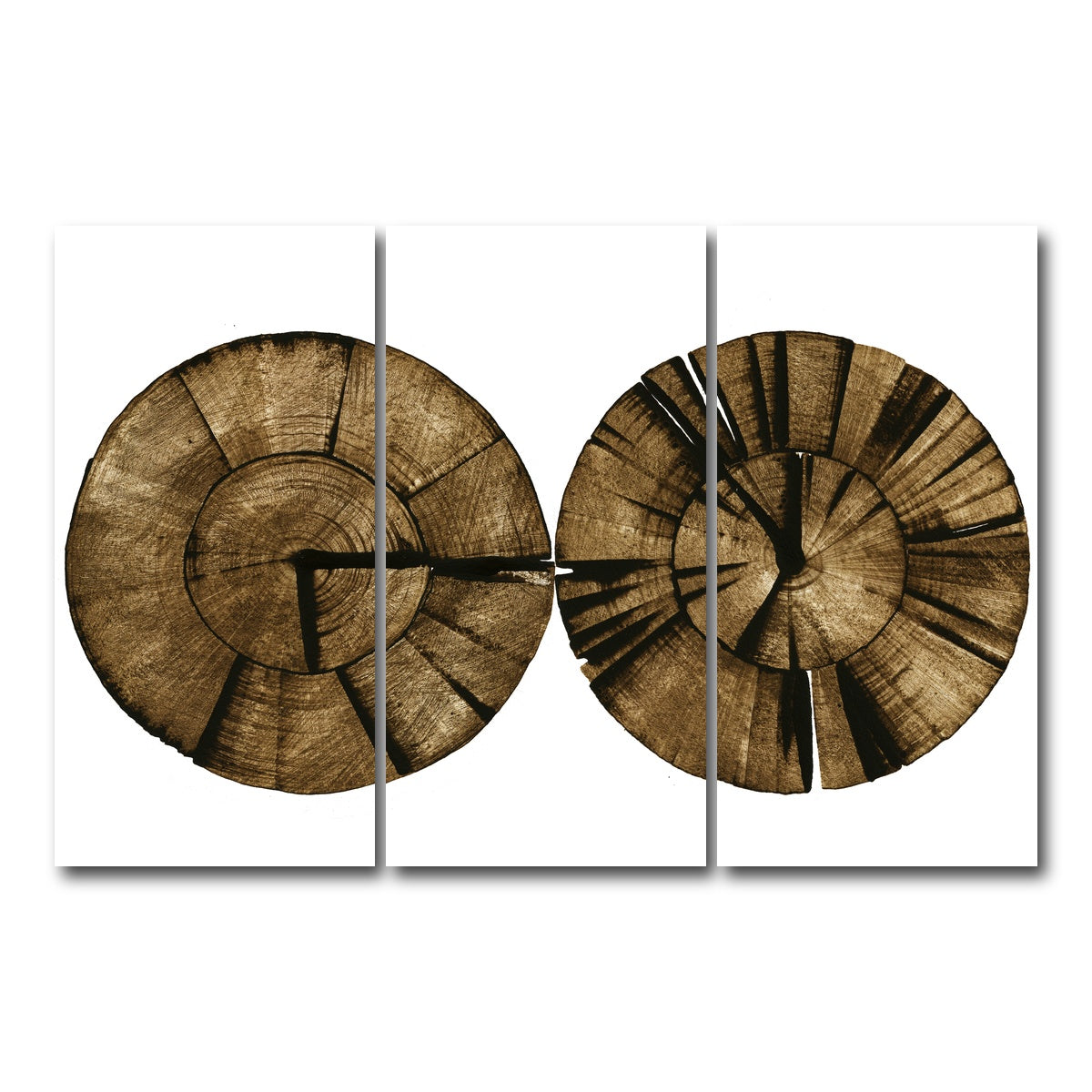 AUTO-MOCKUP WHITE | Two Stumps | 3 Piece | Gallery Wrap Canvas | group=12x24