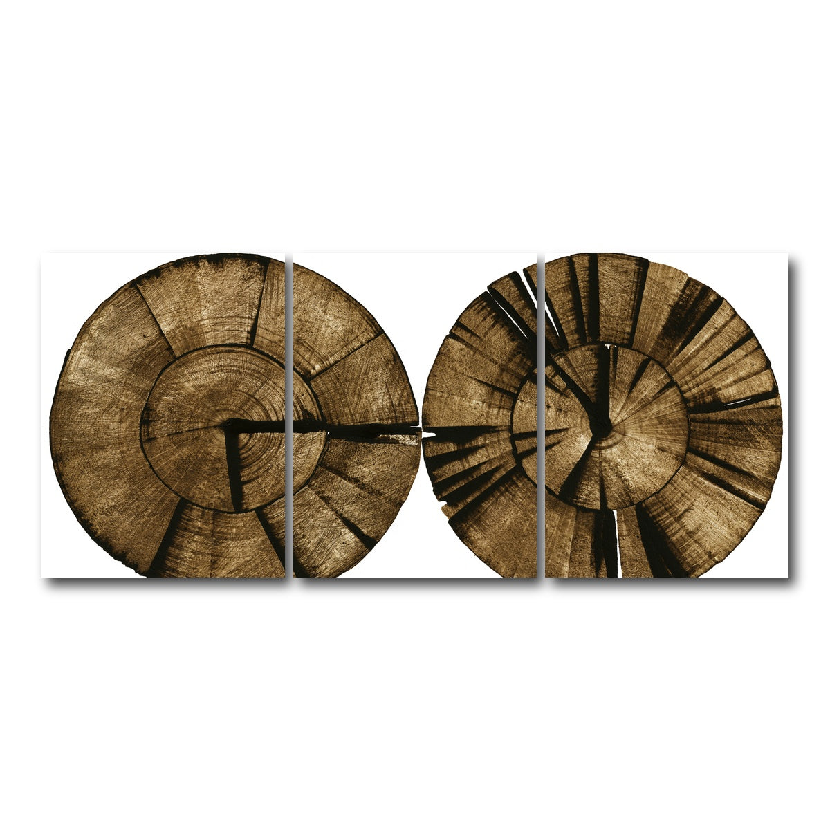 AUTO-MOCKUP WHITE | Two Stumps | 3 Piece | Gallery Wrap Canvas | group=18x24