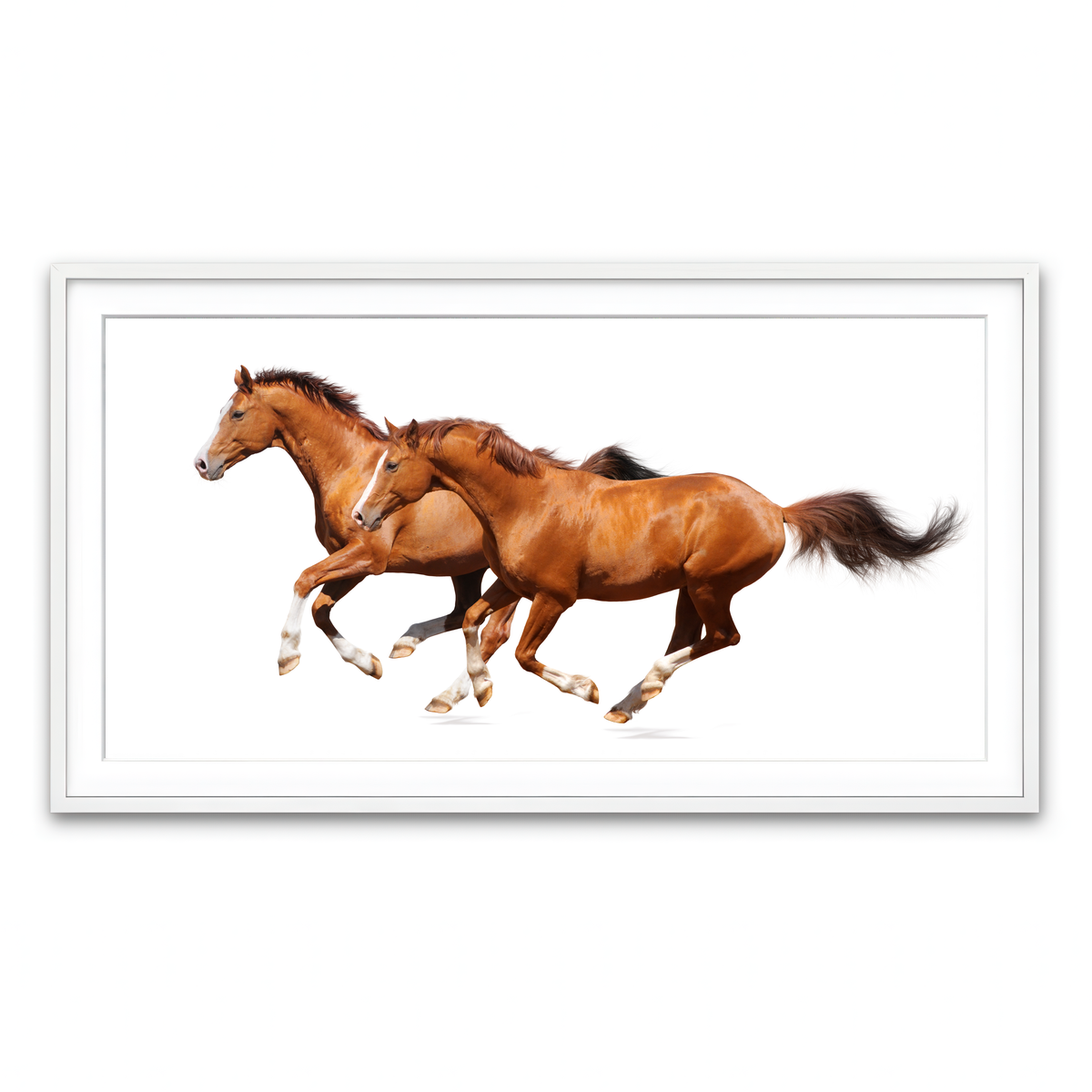 Framed Print 2x1 White