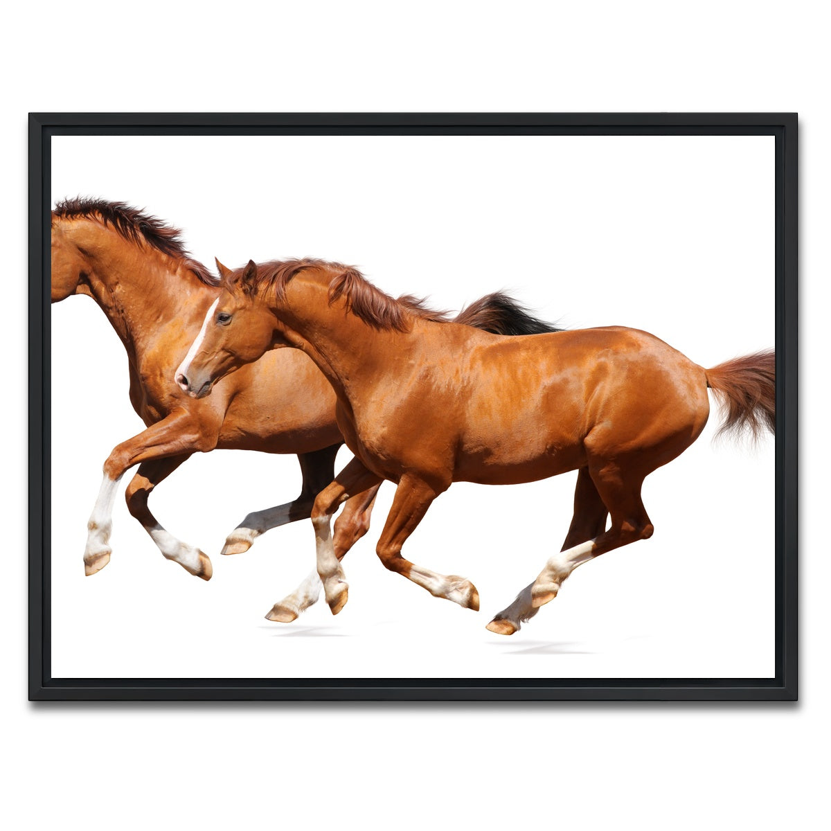 AUTO-MOCKUP WHITE | Two sorrel horses | 1 Piece | Black Framed Canvas | group=4x3